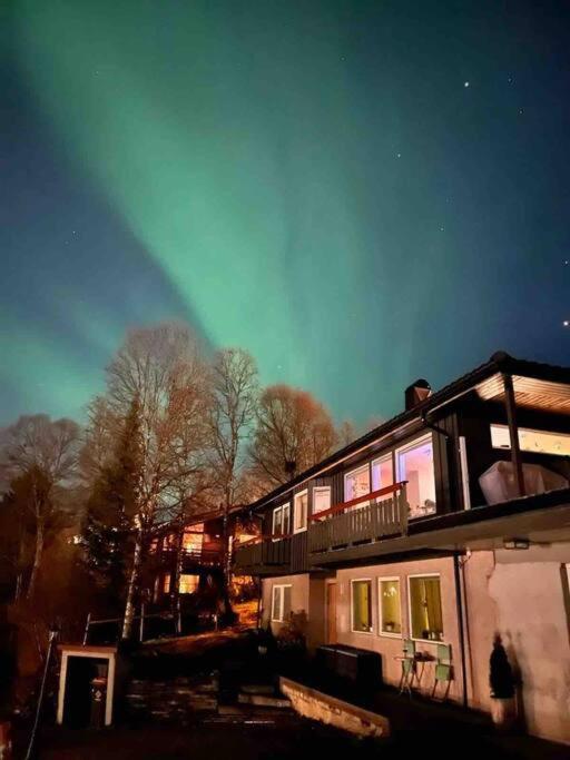 Cosy Flat Near Cable Car And The Arctic Cathedral Apartman Tromsø Kültér fotó